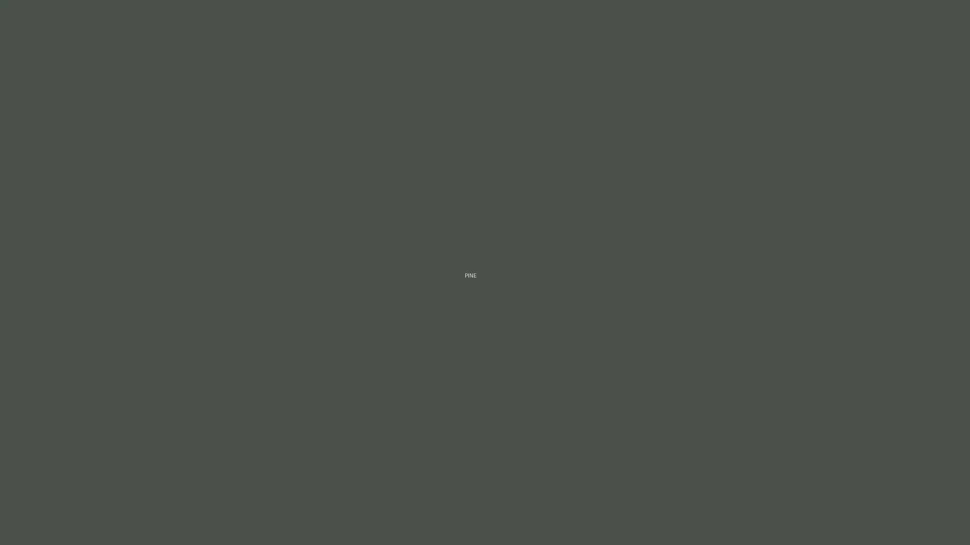 A solitary pine tree standing in soft natural light